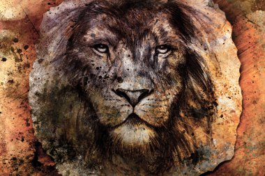 Drawing of a lion head with a majestically peaceful expression on wood abstract background. eye contact
