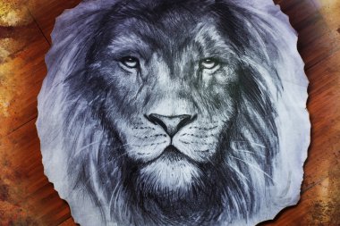 Drawing of a lion head with a majestically peaceful expression on wood abstract background. eye contact.