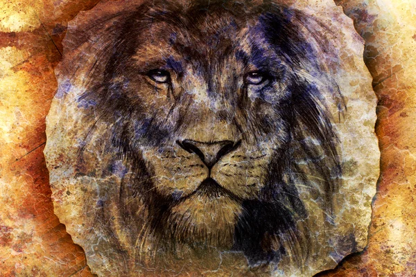 Левове обличчя, що малює на старовинному паперовому колажі, абстрактний фон. зоровий контакт — стокове фото