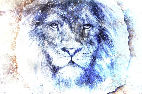 Lion face drawing  on vintage paper collage, abstract background. eye contact — Stockfoto