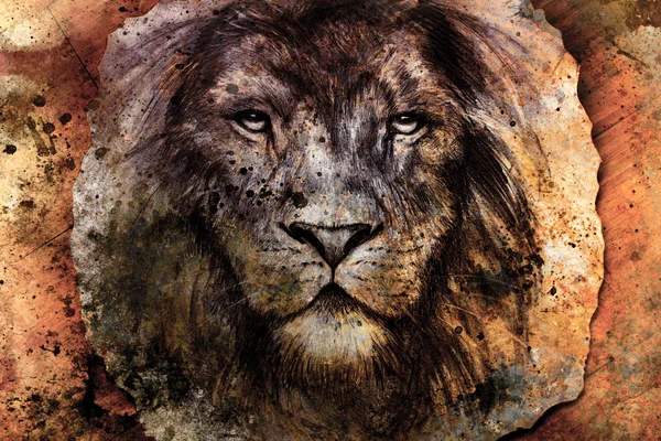 Zeichnung eines Löwenkopfes mit majestätisch friedlichem Ausdruck auf abstraktem Holzgrund. Blickkontakt — Stockfoto