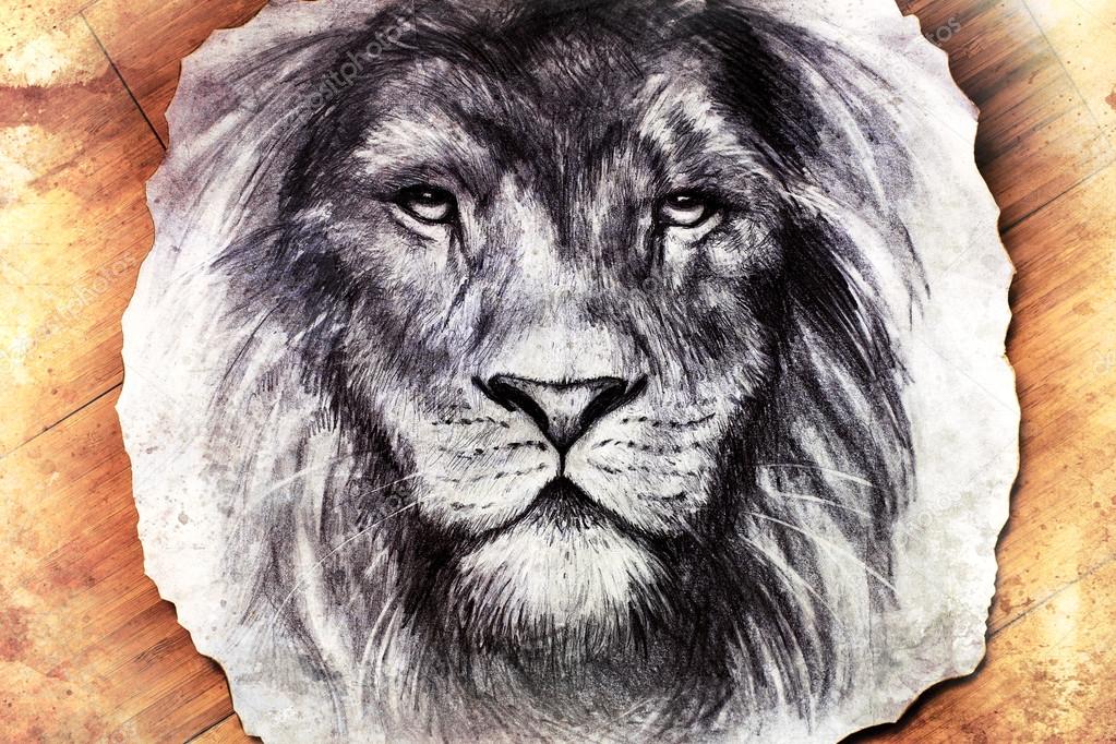 Drawing of a lion head with a majestically peaceful expression on wood abstract background. eye contact