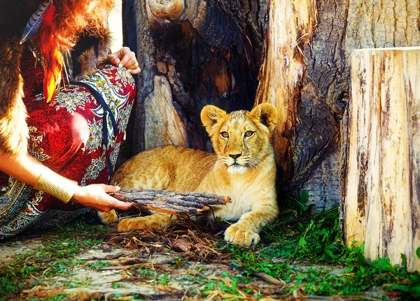Jovem com vestido ornamental e jóia de ouro brincando com filhote de leão na natureza. leão brincando com madeira na mão da mulher . — Fotografia de Stock