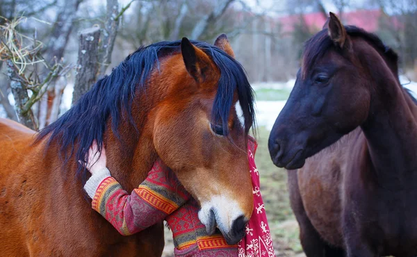 Portré nő, és a ló, a szabadban. átölelve egy ló nő, és toll a haját — Stock Fotó