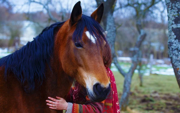 Portré nő és ló a szabadban. Egy nő ölelget egy lovat. — Stock Fotó