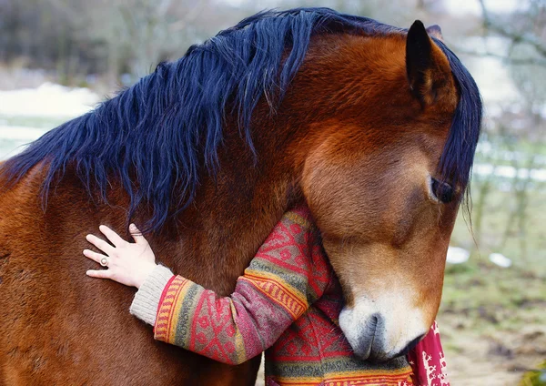 Portret van vrouw en paard in de buitenlucht. vrouw knuffelen een paard . — Stockfoto