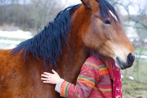 Portrait woman and horse in outdoor. Woman hugging a horse . — Stock Photo, Image