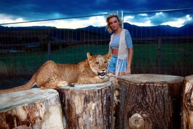 sexy blonde woman playing with lion cub on background with beautiful blue sky and storm clouds. clipart