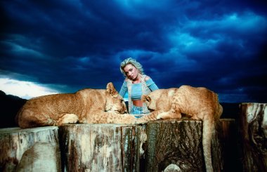 sexy blonde woman playing with lion cub on background with beautiful blue sky and storm clouds. clipart