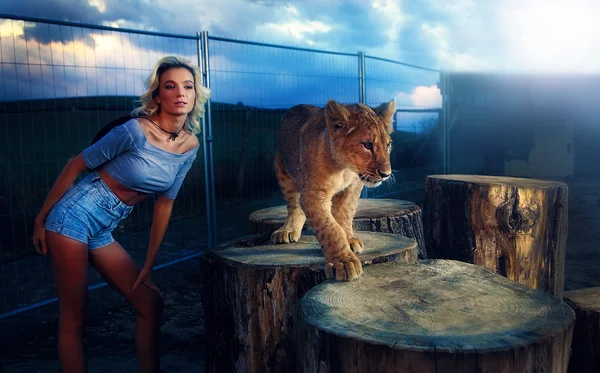 Sexy woman playing with lion cub on background with beautiful sky and storm clouds. — Stock Photo, Image