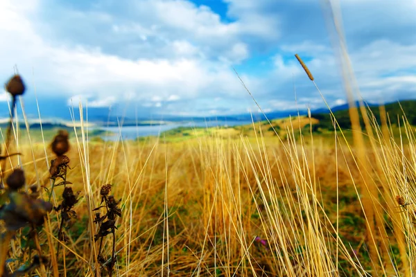 Vackert landskap, gul äng och sjö i bakgrunden. . — Stockfoto