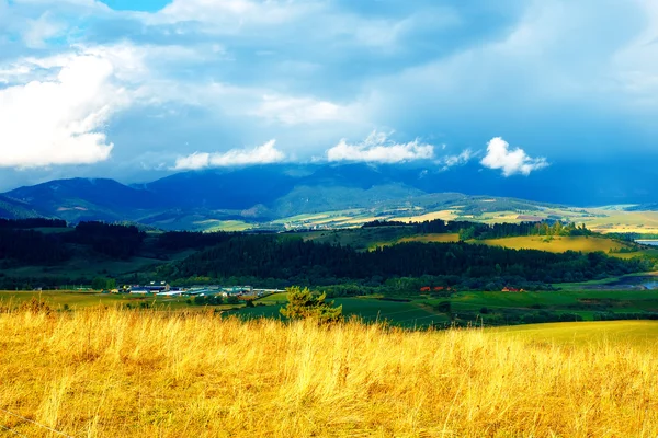 Beautiful landscape, green and yellow meadow and beautiful cloudy sky, with mountain in background. Slovakia, Central Europe. — Stock Photo, Image