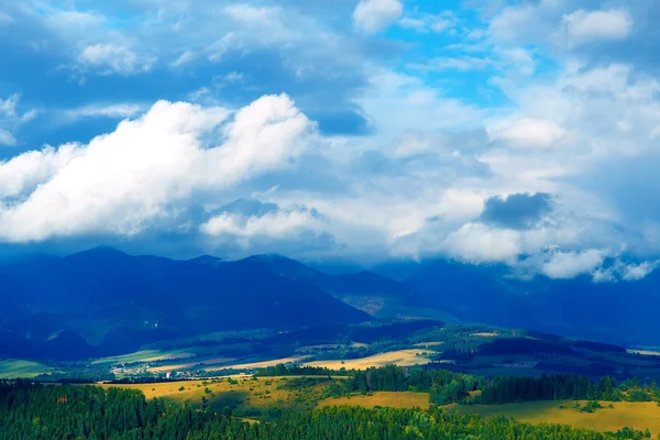 Beau paysage, prairie verte et jaune et lac avec montagne en arrière-plan. Slovaquie, Europe centrale. — Photo