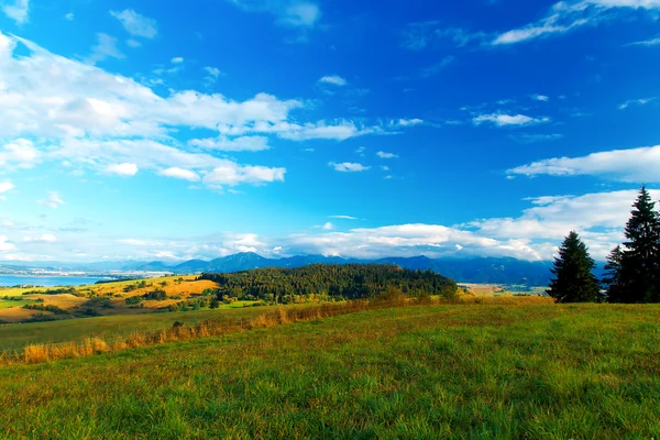 Krásná krajina, zelená a žlutá louka a jezero s horou v pozadí. Slovensko, střední Evropa. — Stock fotografie