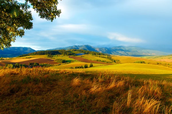 Centrale solaire dans les montagnes sur prairie. Beau paysage — Photo