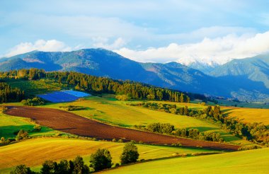 Çayır üzerinde dağ güneş enerjisi Santrali