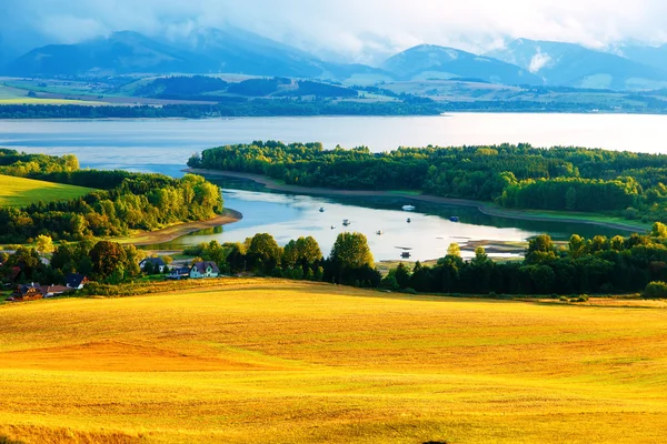Güzel manzara, yeşil ve sarı çayır ve arka planda dağ olan göl. Slovakya, Orta Avrupa. — Stok fotoğraf
