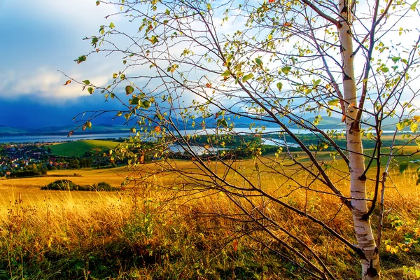 Hermoso paisaje. abedul en la imagen de primer plano, prado y lago con la montaña en el fondo. Eslovaquia, Europa Central . —  Fotos de Stock