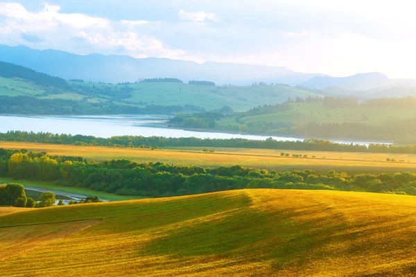 Hermoso paisaje, prado verde y amarillo y lago con montaña en el fondo. Eslovaquia, Europa Central. —  Fotos de Stock