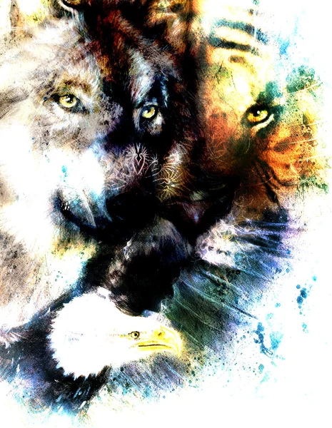 Painting of eagle and tiger with wolf, abstract background, color with spot structures — Stok fotoğraf