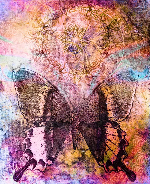 Mariposa y mandala ornamental oriental y fondo abstracto de color con manchas — Foto de Stock