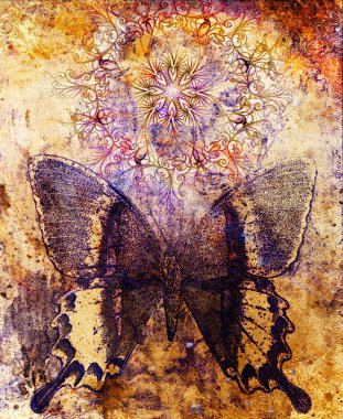 Kelebek ve oryantal süs mandala ve renkli arka plan ile noktalar.