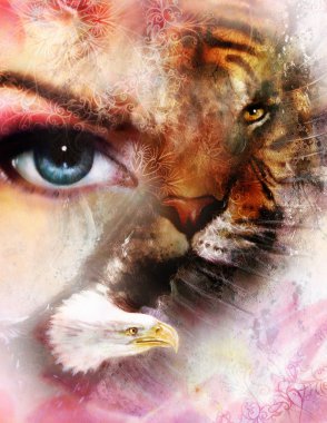 eagle and tiger face and womamn eye on  abstract background, with ornaments.