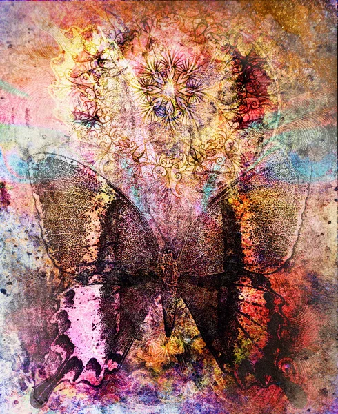 Mariposa y mandala ornamental oriental y fondo abstracto de color con manchas — Foto de Stock