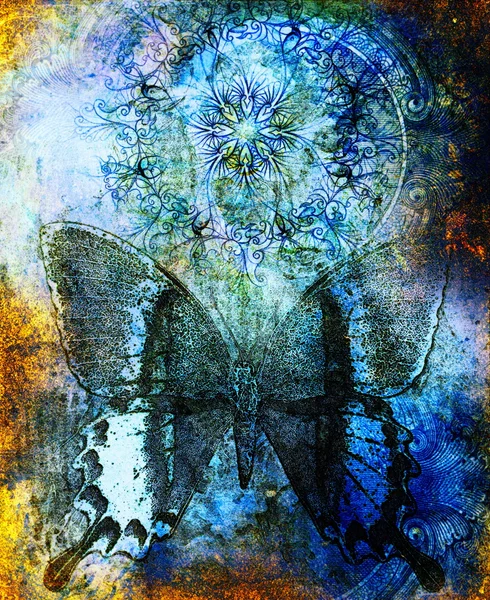 Mariposa y mandala ornamental oriental y fondo abstracto de color con manchas. con adorno de dólar —  Fotos de Stock