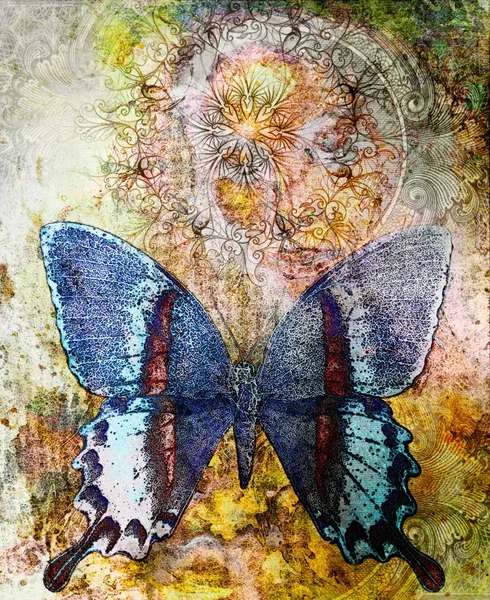 Mariposa y mandala ornamental oriental y fondo abstracto de color con manchas. con adorno de dólar —  Fotos de Stock