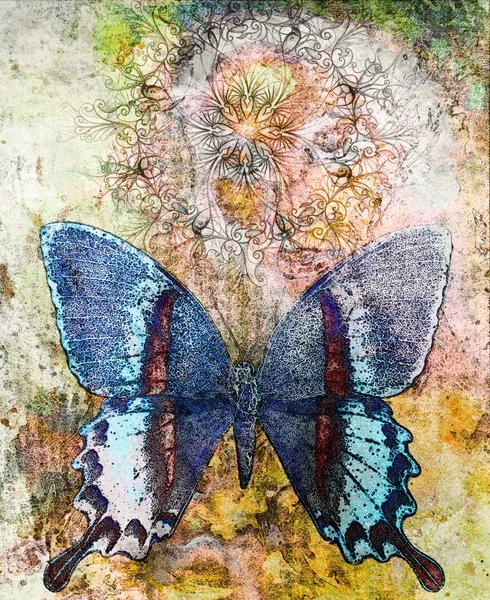Mariposa y mandala ornamental oriental y fondo abstracto de color con manchas . —  Fotos de Stock