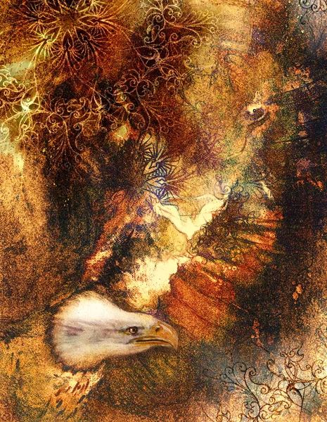Schöne Adlermalerei auf abstraktem Hintergrund, Farbe mit Fleckstrukturen — Stockfoto