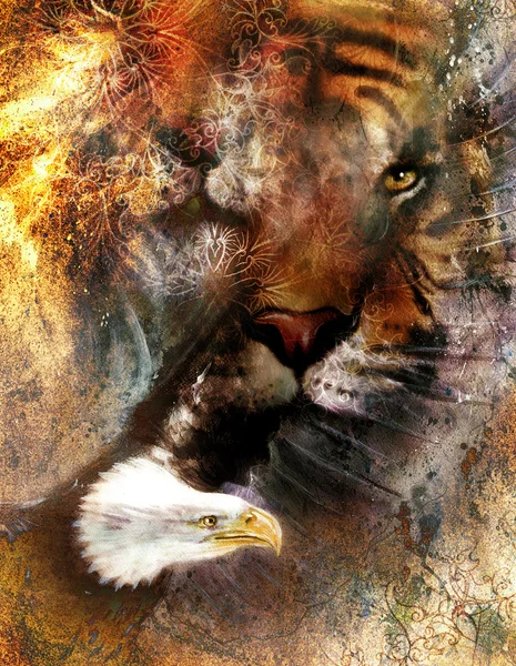 Eagle and tiger collage on color abstract  background,  rust structure, wildlife animals.