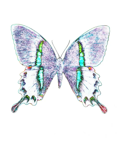 Illustration of a color butterfly, mixed medium, white background. — Stok fotoğraf