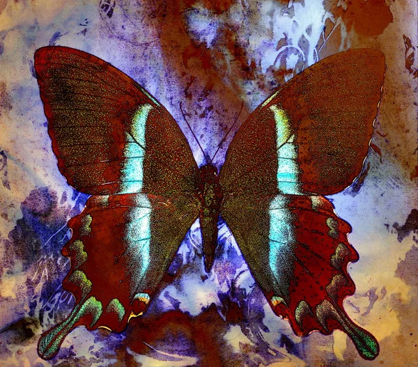 Color butterfly, illustration and mixed medium, abstract  background, vintage rust effect. — Stock Photo, Image