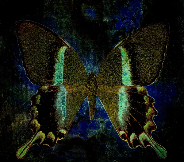 Mariposa de color, ilustración y medio mixto, fondo abstracto, efecto óxido vintage . —  Fotos de Stock