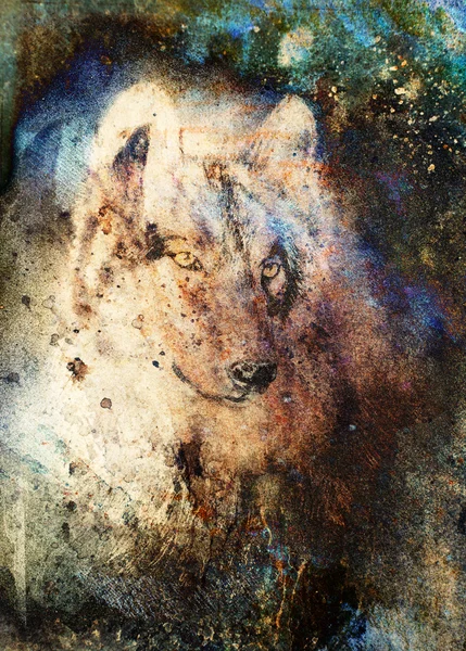 Волчья живопись, цветоабстрактное воздействие на фон — стоковое фото