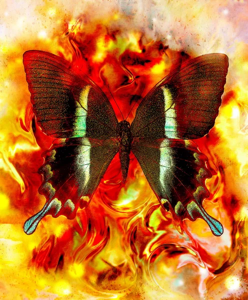 Illustration eines farbigen Schmetterlings, gemischtes Medium, abstrakter Farbhintergrund. — Stockfoto