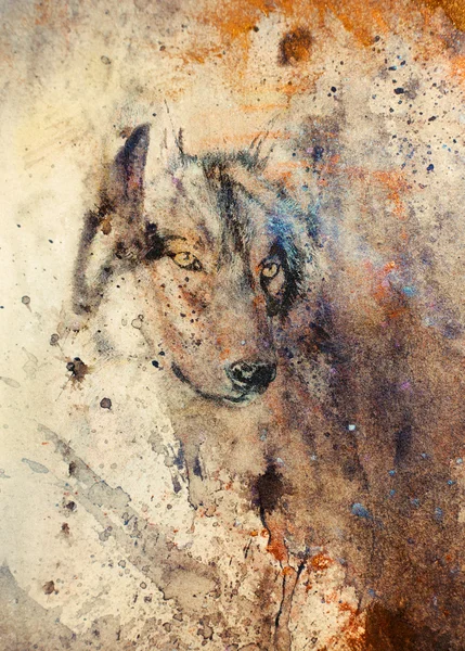 Wolf painting, color abstract effect on background — 스톡 사진