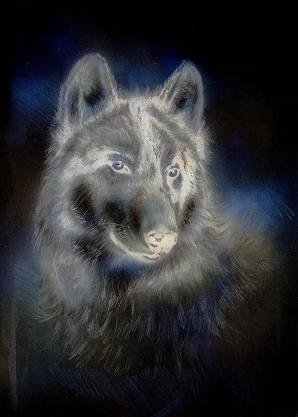 Wolf painting, color abstract effect on background — Stok fotoğraf