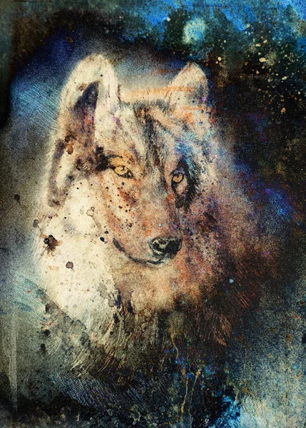Wolf painting, color abstract effect on background Stock Photo