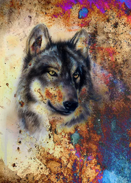 Wolf painting, color abstract effect on background Stock Photo
