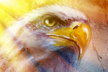 painting of eagle on an abstract background, color with spot structures and sunlight.
