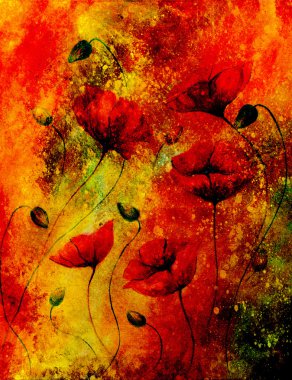 Renk arka plan üzerinde kırmızı gelincik. Kırmızı haşhaş. Renk arka plan üzerinde kırmızı çiçek