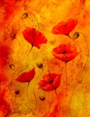 Red poppy on color background. Red poppies. Red flower on abstract color background and spots.
