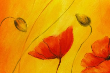 Turuncu arka planda kırmızı haşhaş. Kırmızı gelincikler. Soyut renk arkaplanı üzerinde kırmızı çiçek