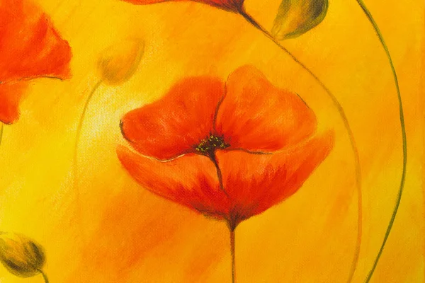 Rode papaver op oranje achtergrond. Rode papaver. Rode bloem op abstracte kleur achtergrond — Stockfoto