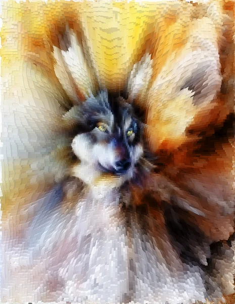 Lobo, fondo abstracto de color, ilustración multicolor y efecto polígono . — Foto de Stock