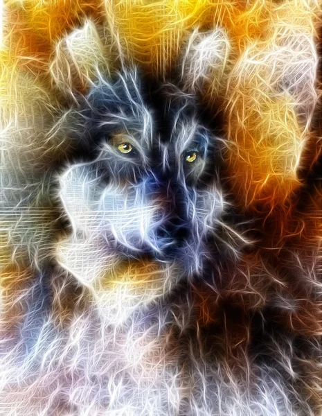 Lobo, fondo abstracto de color, ilustración multicolor y efecto fractal —  Fotos de Stock