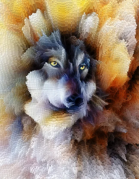 Loup, fond abstrait couleur, illustration multicolore et effet fractal — Photo